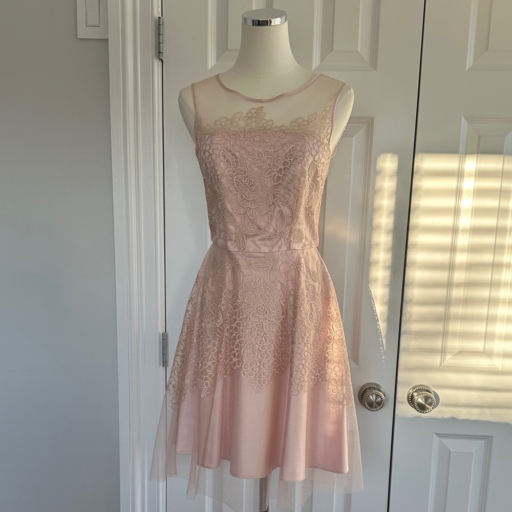 NWOT Tahari Embroidered Overlay A-Line Pink Dress Sheer Wedding Guest  Size 4P